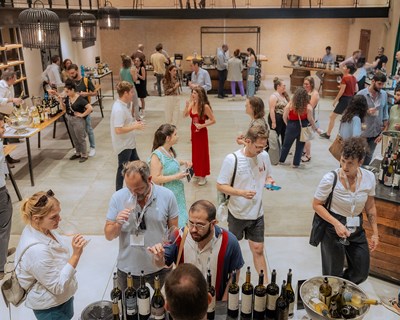 Vinhos portugueses voltam a surpreender em Israel