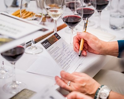 ViniPortugal aposta em academia online de formação em vinhos