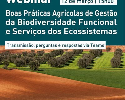 Webinar debate 