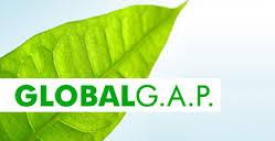 Workshop: Certificação Global G.A.P.