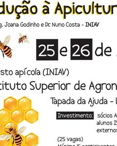 Workshop de Introdução à Apicultura