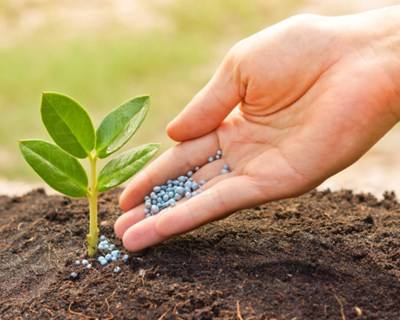Workshop: Fertilização da Vinha e do Kiwi