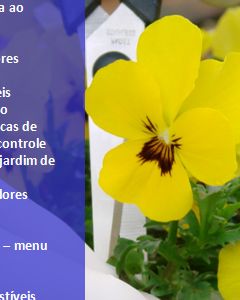 Workshop produção de flores comestíveis