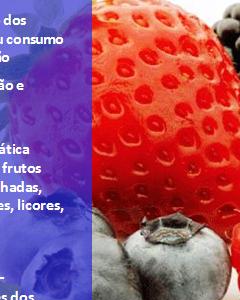 Workshop: Transformação de Pequenos Frutos