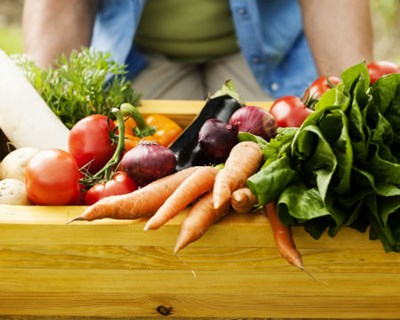 Zona Verde promove curso sobre Agricultura Biológica