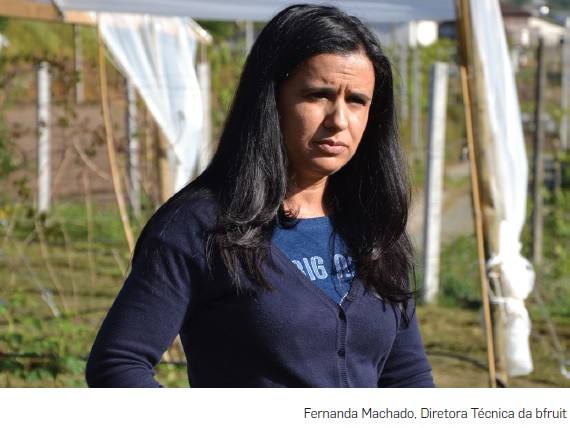Fernanda Machado, Diretora da Bfruit