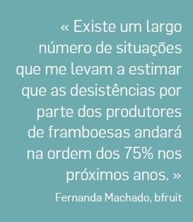 Produção de Framboesas