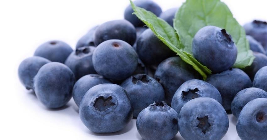 pequenos frutos