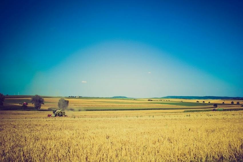 agricultura