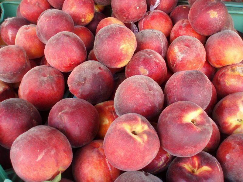 frutas e horticolas