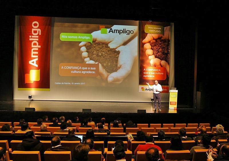 ampligo