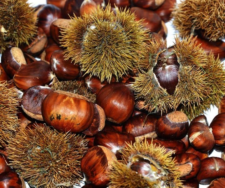 castanha