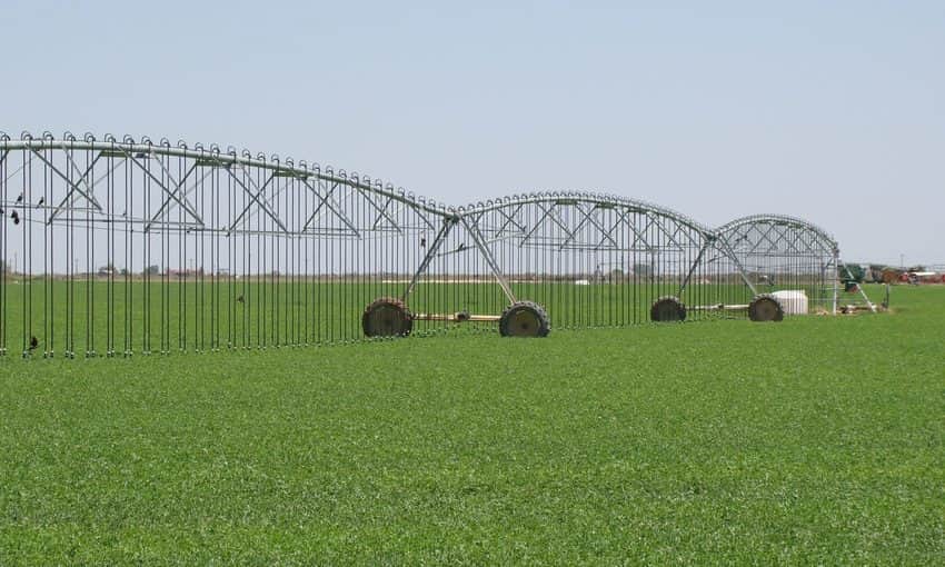 agricultura