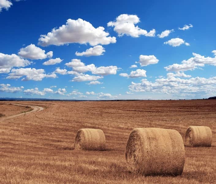 agricultura