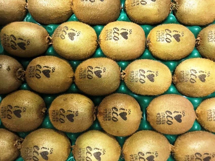 kiwis