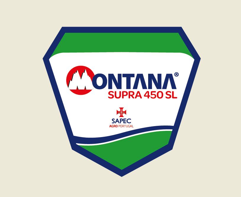 montana