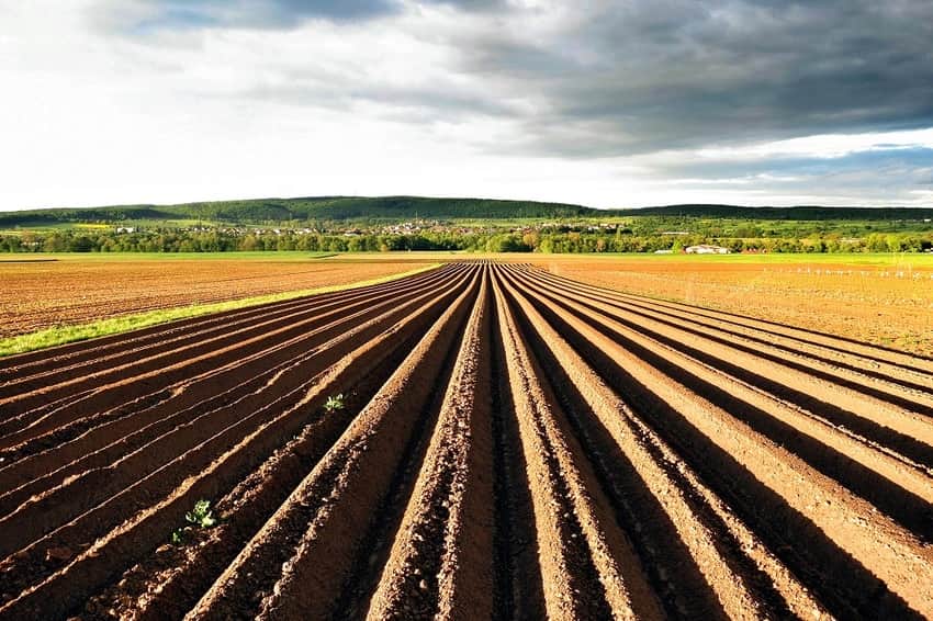 agricultura