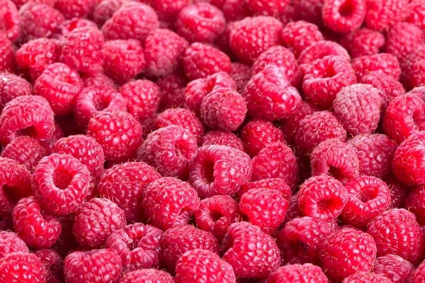 frambroesa