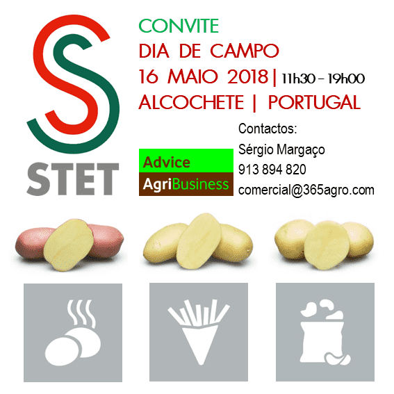 programa 