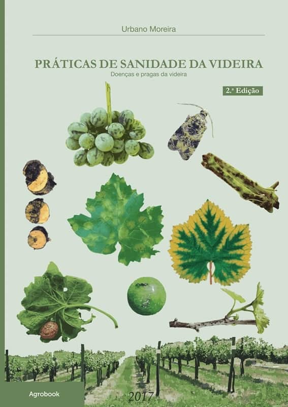 videira