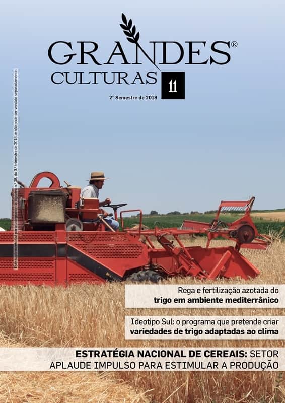 grandes culturas