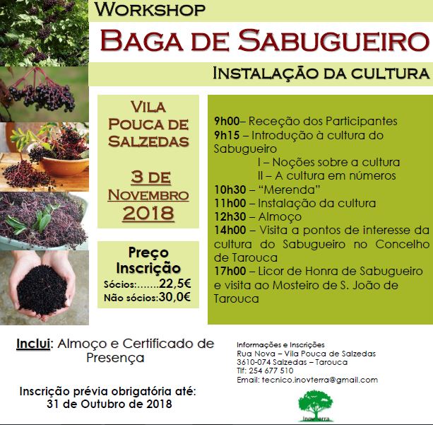 sabugueiro