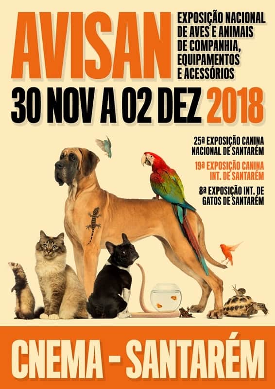 avisan