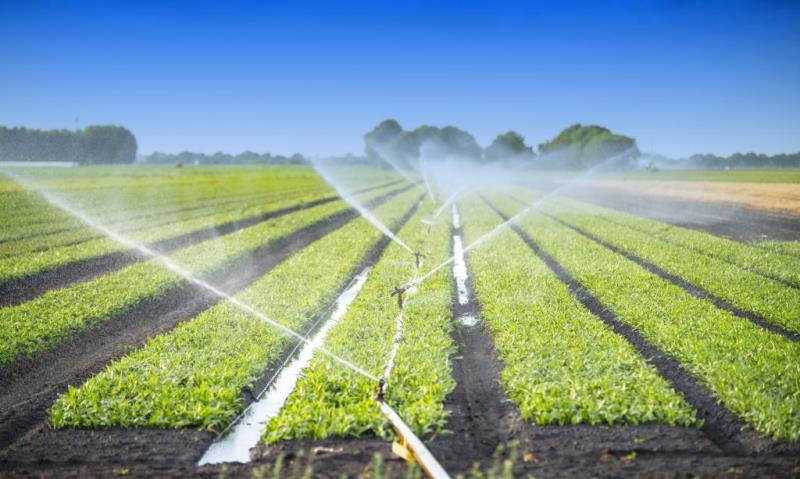 agricultura