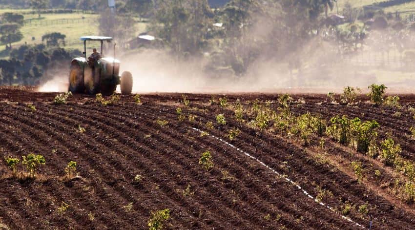 agricultura