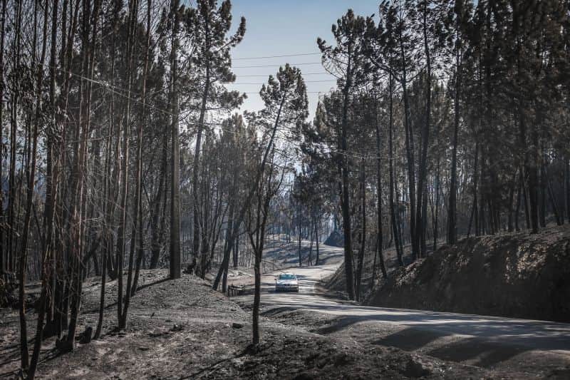 incendios