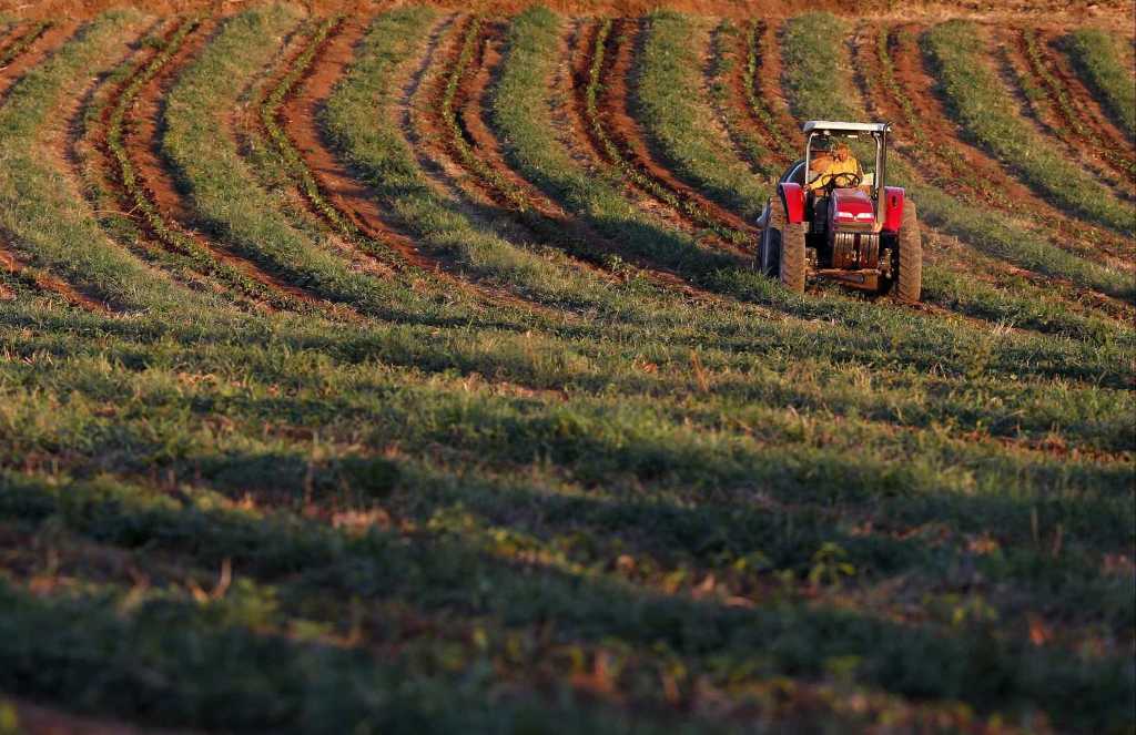 agricultura