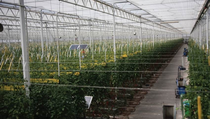 agricultura