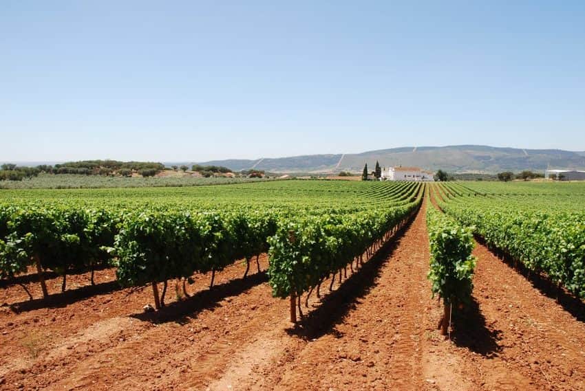 alentejo