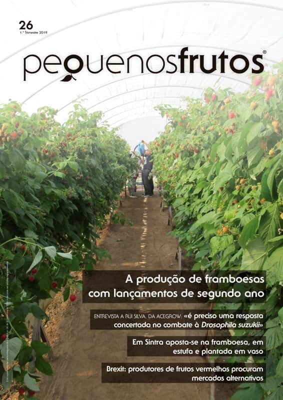 pequenos frutos 