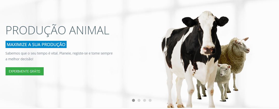 vaca 
