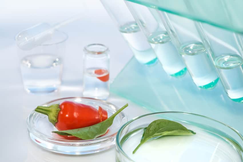 haccp