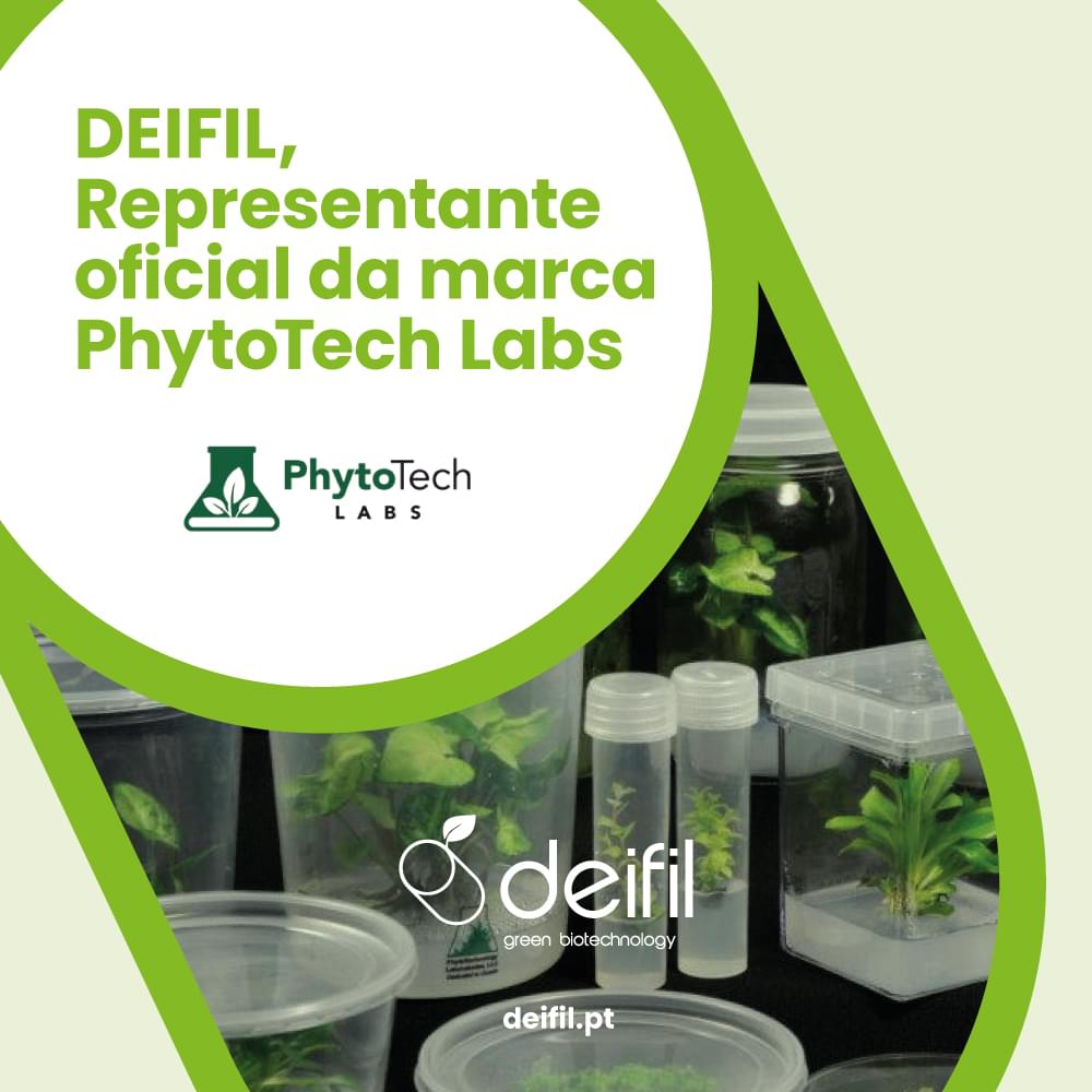 Deifil