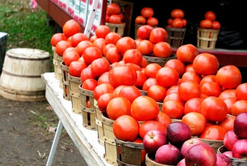 Agricultura