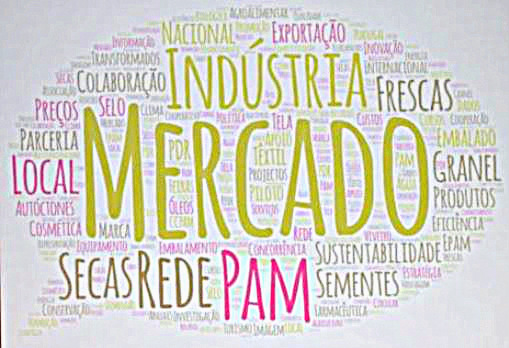 EPAM BRAGA