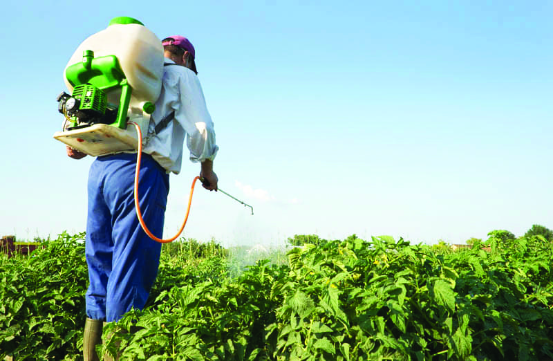 Agricultor Sanidade Vegetal