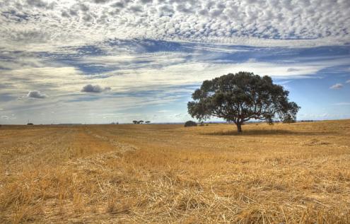 Alentejo