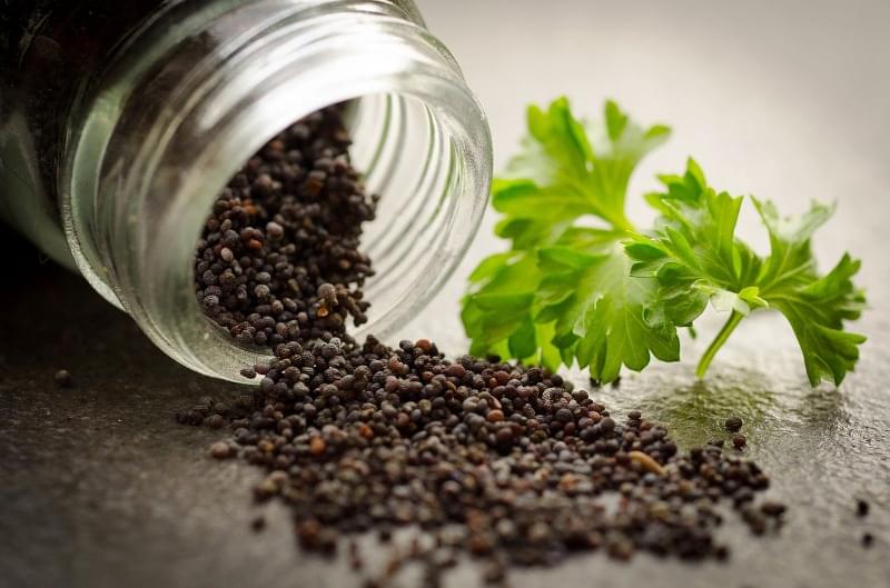 InnoPlantProtect Investigadora prémio laboratórios mais verdes