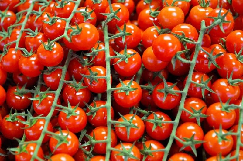 Tomate