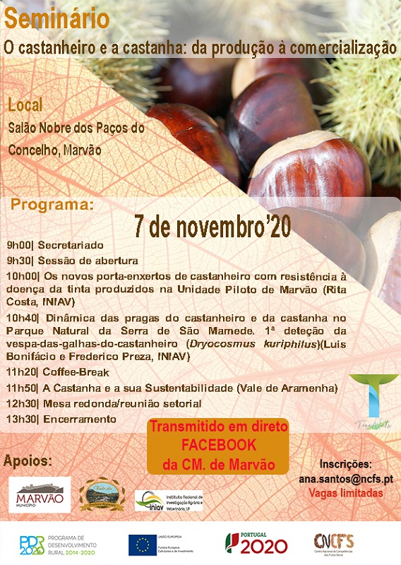 Castanhas