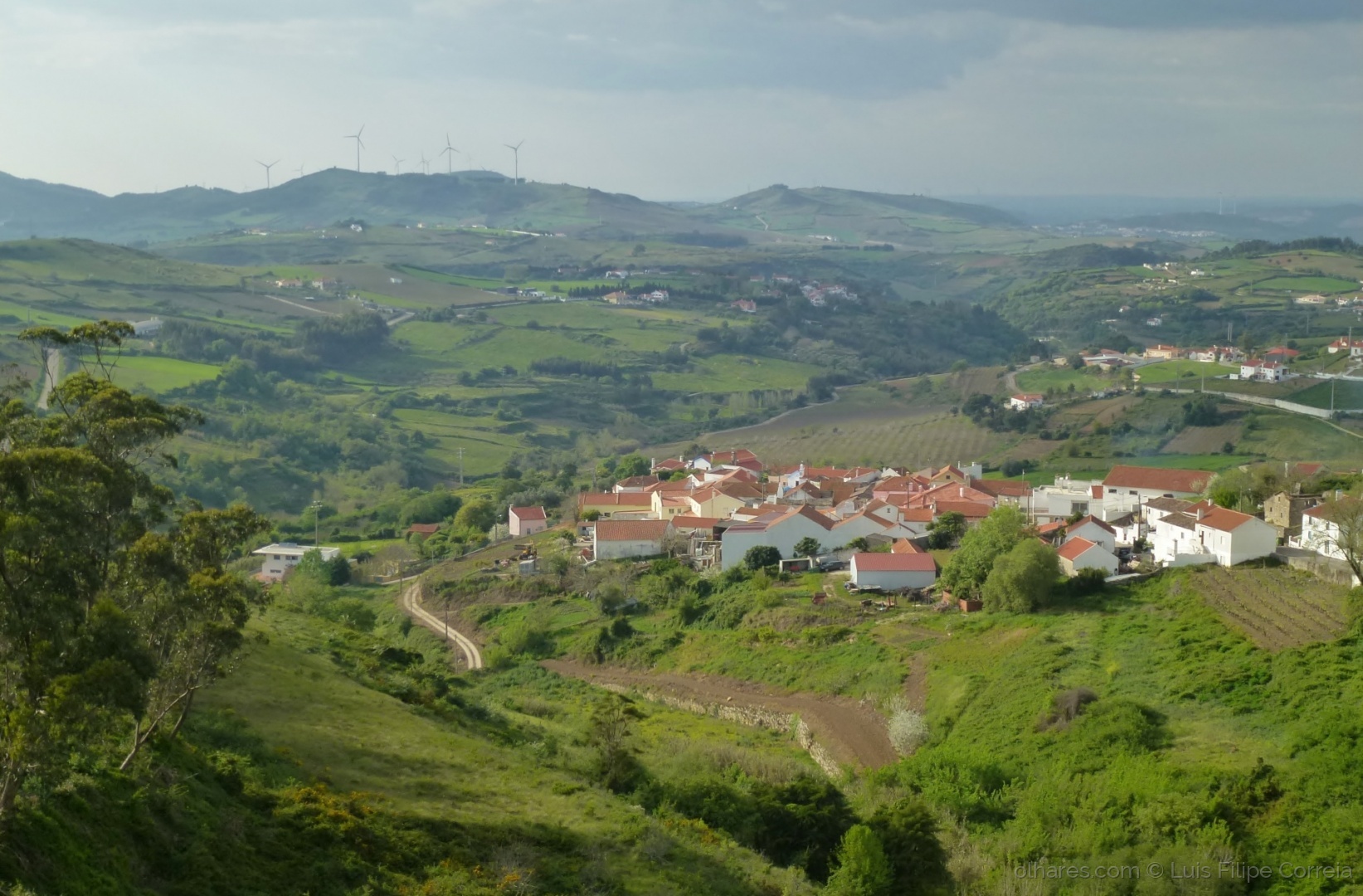 Região Saloia