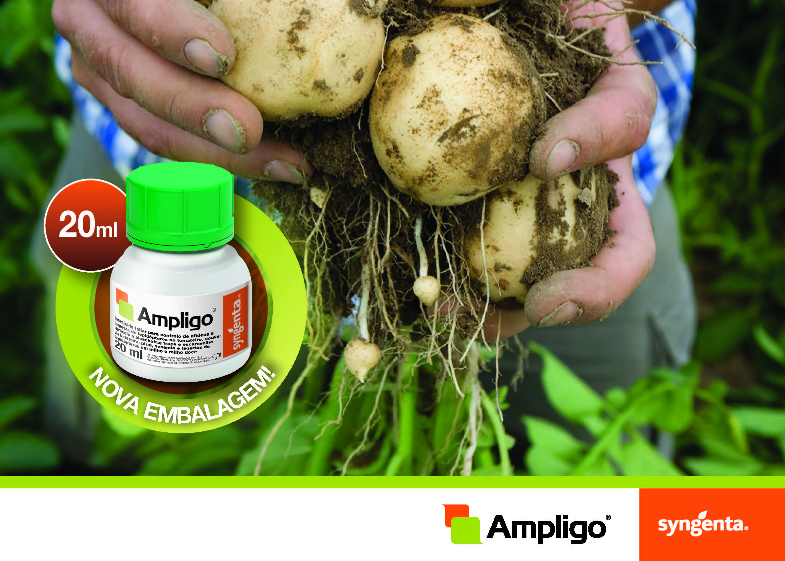 AMPLIGO Syngenta Portugal