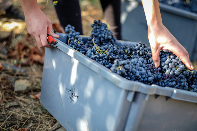 Exporta&ccedil;&otilde;es Vinhos 2020