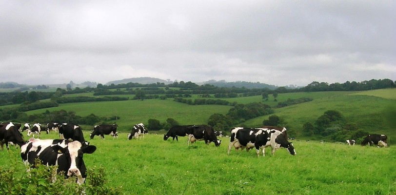 agricultura