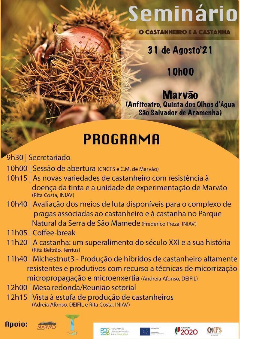 seminário