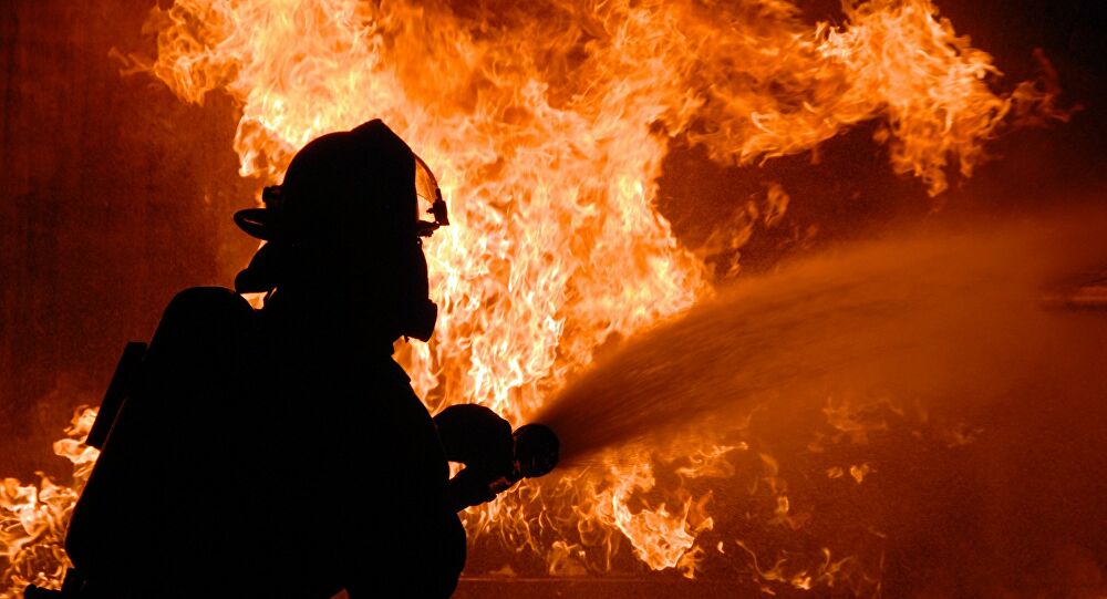 fogos